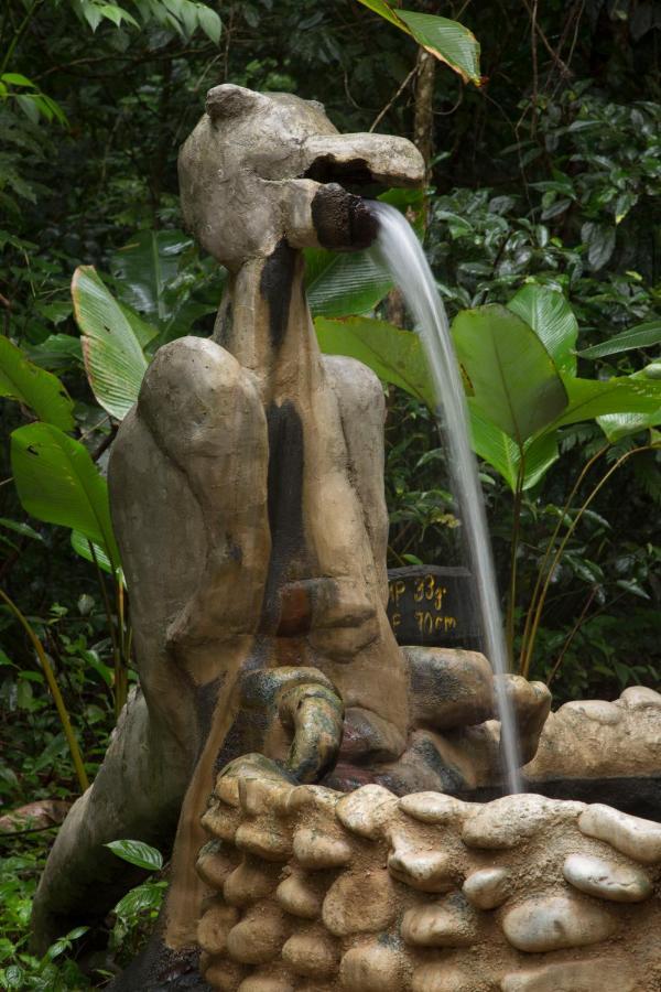 PalmeraBio Thermales Hot Springs别墅 外观 照片